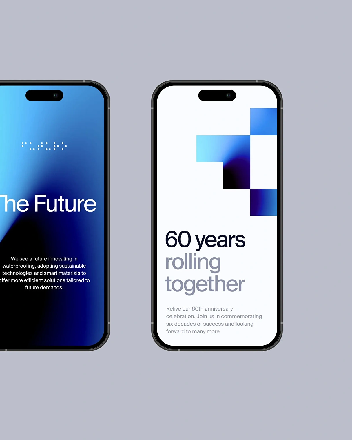Mobile screenshots of Danosa's 60th anniversary post landing page display a sleek, responsive design tailored for smaller screens.