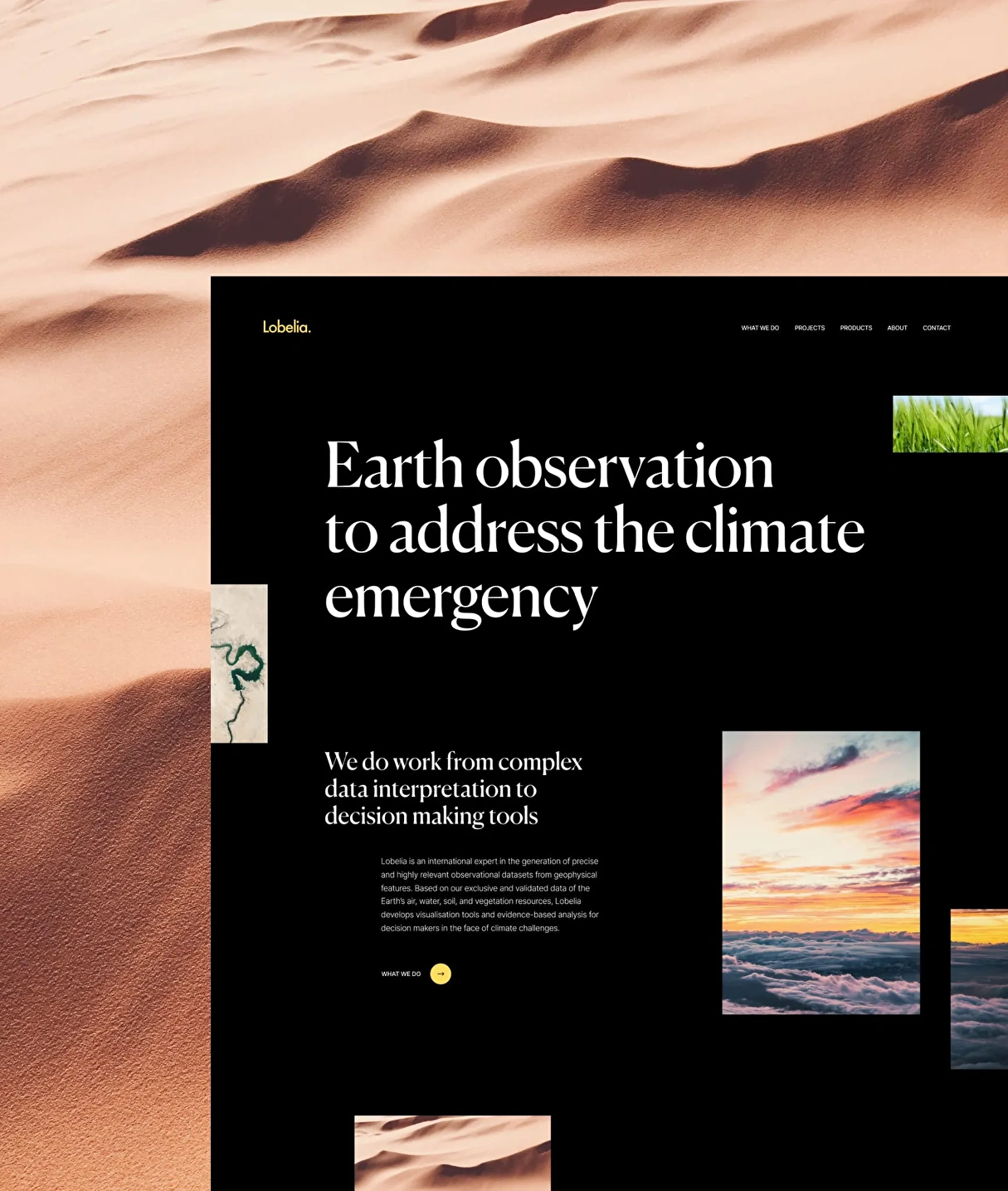 Lobelia Earth home page website design.