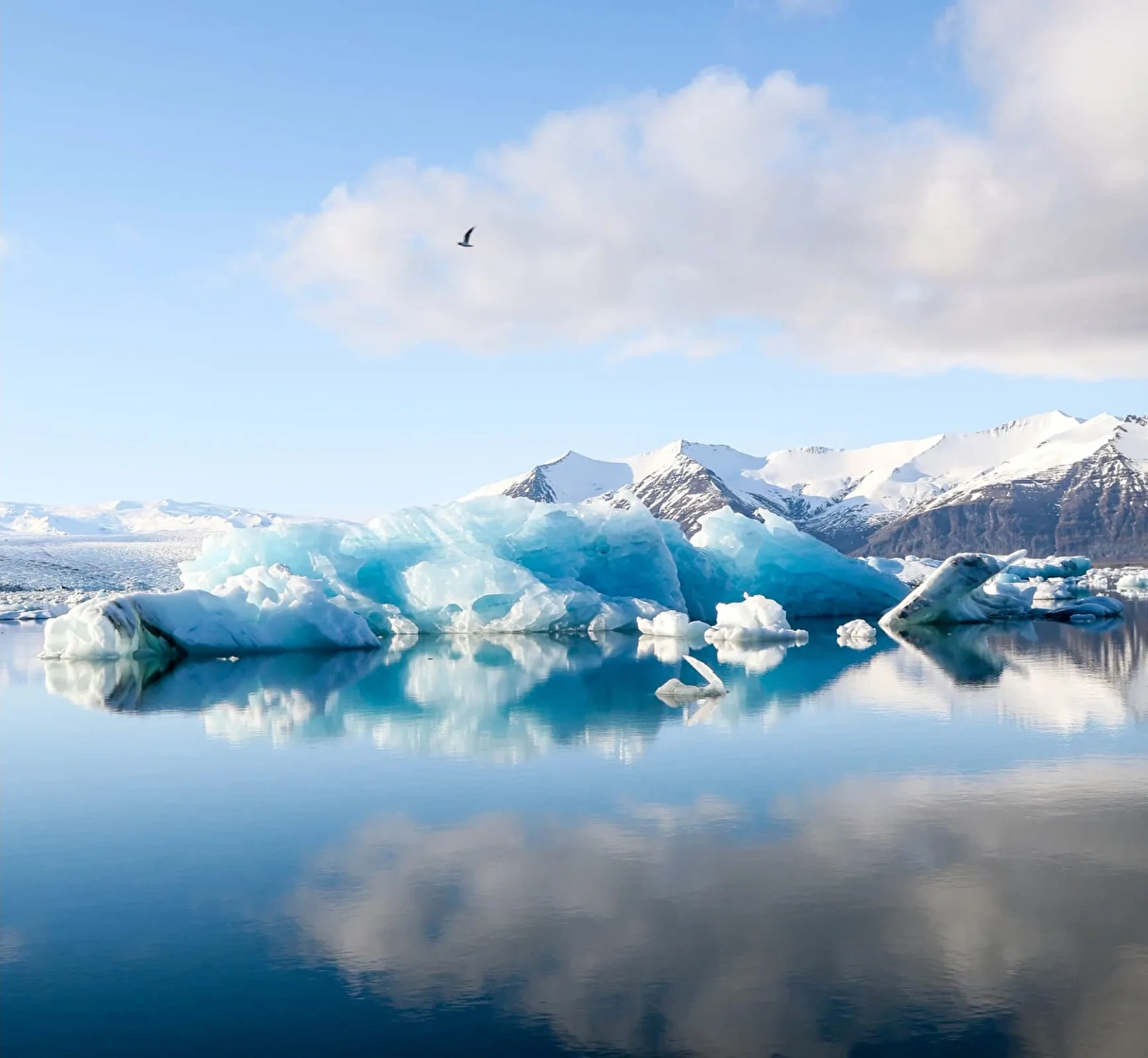 Scenic landscape with large icebergs floating in the ocean, representing the effects of climate change.