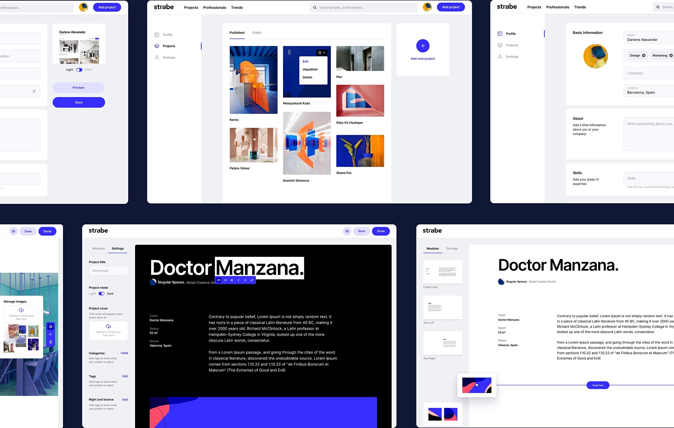Strabe's design system applied to the visual design of the web.site.